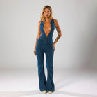 Denim V neck jumpsuit
