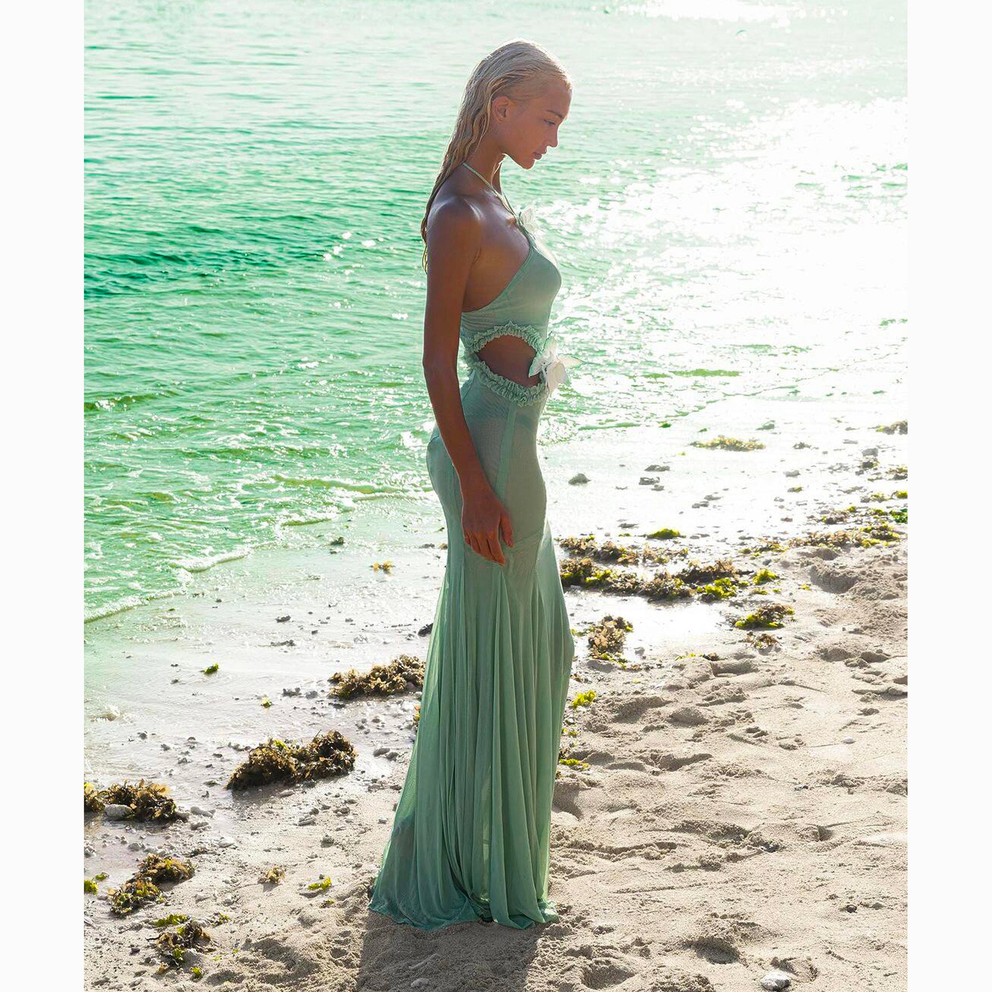 Aqua butterfly mesh dress